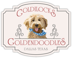 Goldilocks Goldendoodles Logo